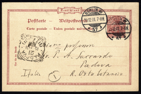 Anteprima dell'oggetto