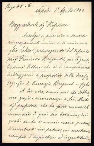 Anteprima dell'oggetto