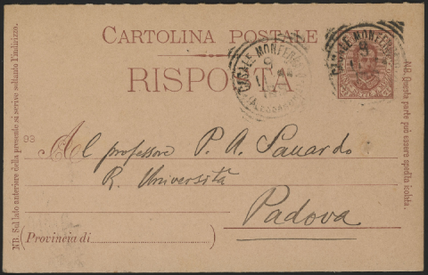 Anteprima dell'oggetto