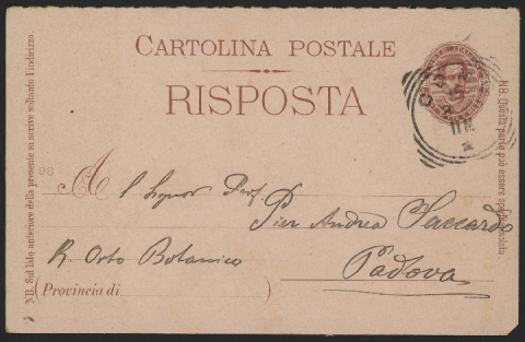 Anteprima dell'oggetto