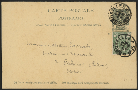 Anteprima dell'oggetto