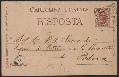 Anteprima dell'oggetto