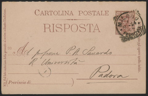 Anteprima dell'oggetto