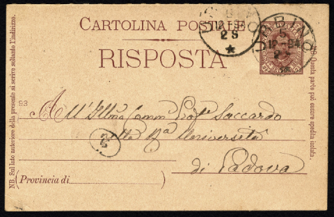 Anteprima dell'oggetto