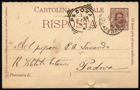 Anteprima dell'oggetto