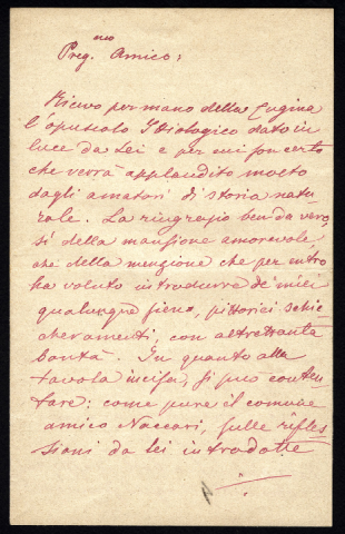 Anteprima dell'oggetto