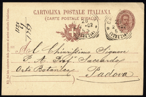 Anteprima dell'oggetto