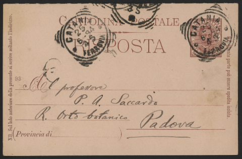 Anteprima dell'oggetto