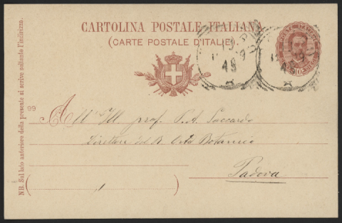 Anteprima dell'oggetto