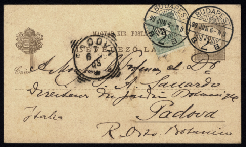 Anteprima dell'oggetto