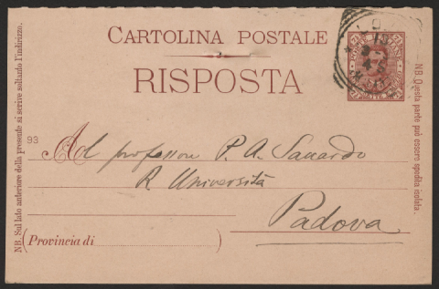 Anteprima dell'oggetto