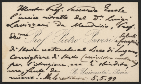 Anteprima dell'oggetto