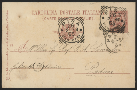 Anteprima dell'oggetto