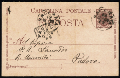 Anteprima dell'oggetto