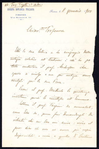 Anteprima dell'oggetto