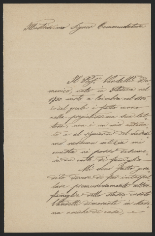 Anteprima dell'oggetto