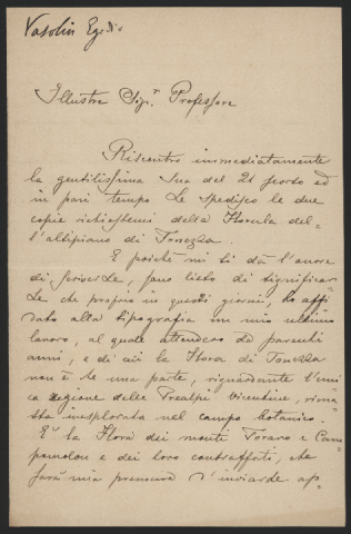 Anteprima dell'oggetto