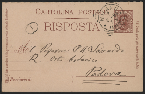 Anteprima dell'oggetto