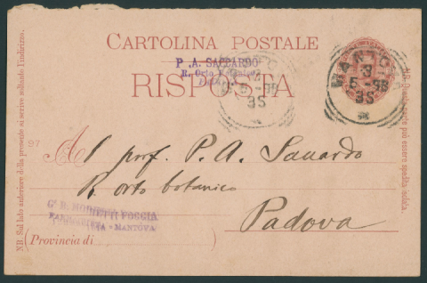 Anteprima dell'oggetto