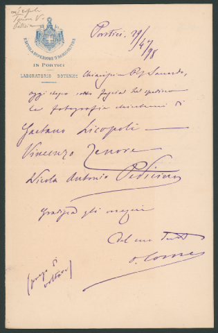 Anteprima dell'oggetto