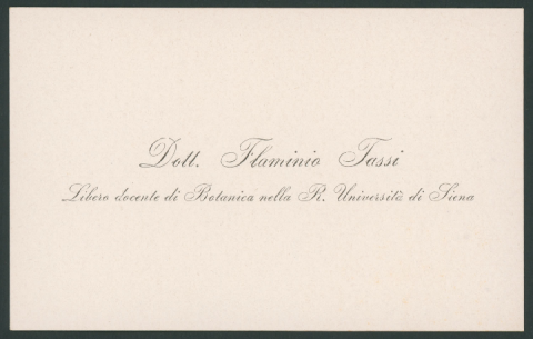 Anteprima dell'oggetto