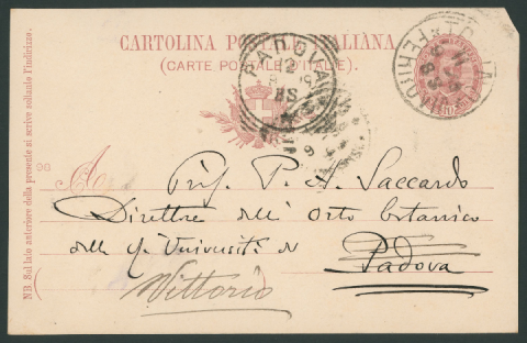 Anteprima dell'oggetto