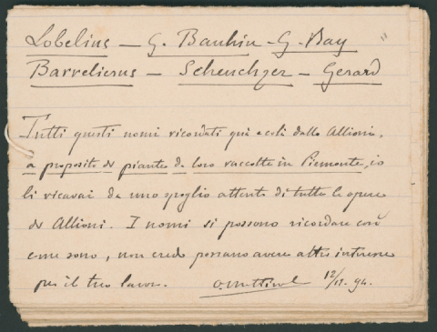 Anteprima dell'oggetto