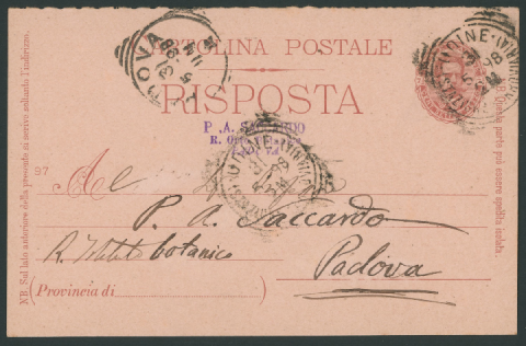 Anteprima dell'oggetto