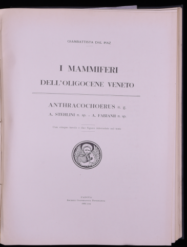 Anteprima dell'oggetto