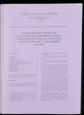 Anteprima dell'oggetto