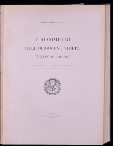 Anteprima dell'oggetto