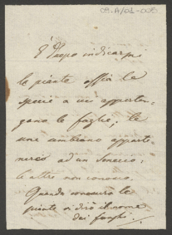 Anteprima dell'oggetto