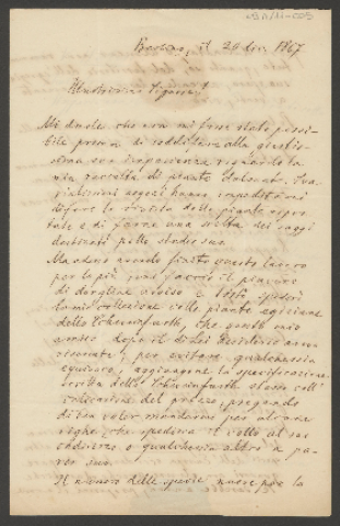 Anteprima dell'oggetto