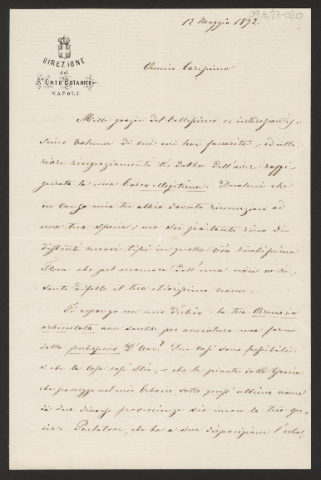 Anteprima dell'oggetto