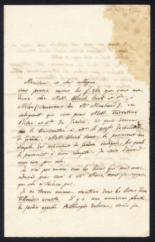 Anteprima dell'oggetto