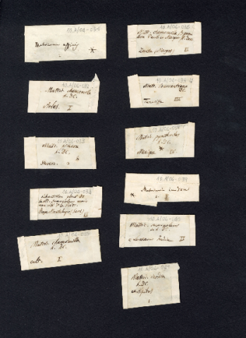 Anteprima dell'oggetto