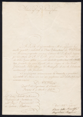 Anteprima dell'oggetto