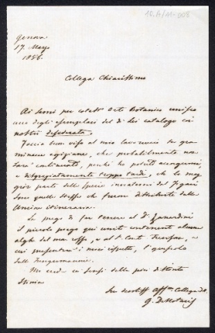 Anteprima dell'oggetto