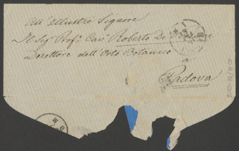 Anteprima dell'oggetto