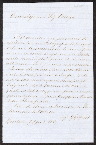 Anteprima dell'oggetto