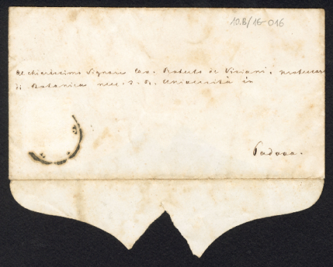 Anteprima dell'oggetto