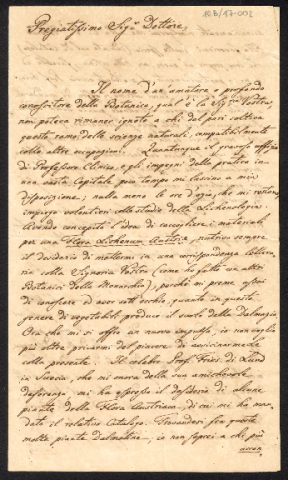 Anteprima dell'oggetto