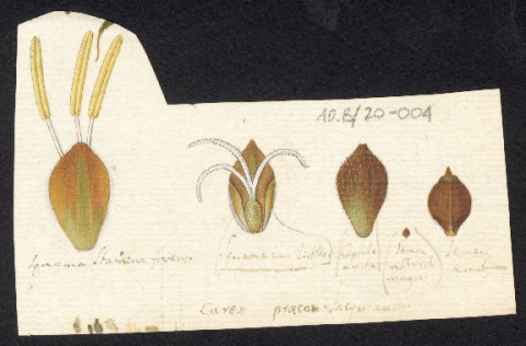 Anteprima dell'oggetto