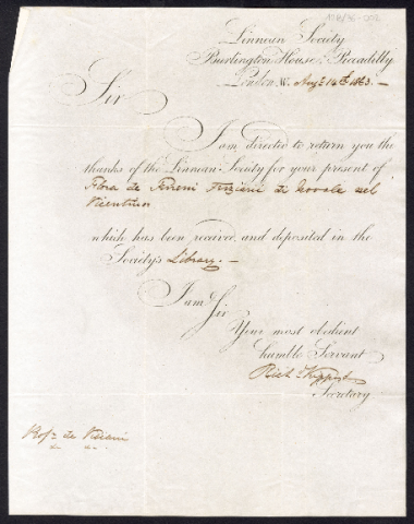 Anteprima dell'oggetto