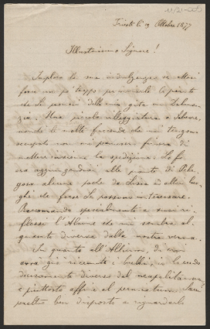 Anteprima dell'oggetto