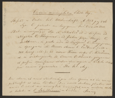 Anteprima dell'oggetto