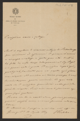 Anteprima dell'oggetto