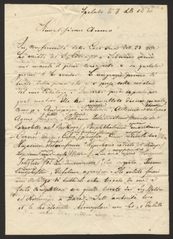 Anteprima dell'oggetto