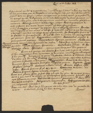 Anteprima dell'oggetto