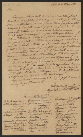 Anteprima dell'oggetto